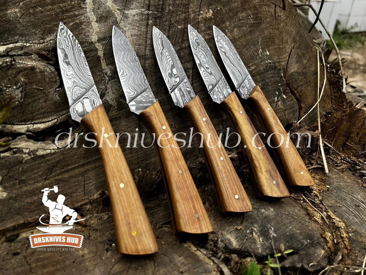 Handmade steak knife with wood handle and Damascus blade