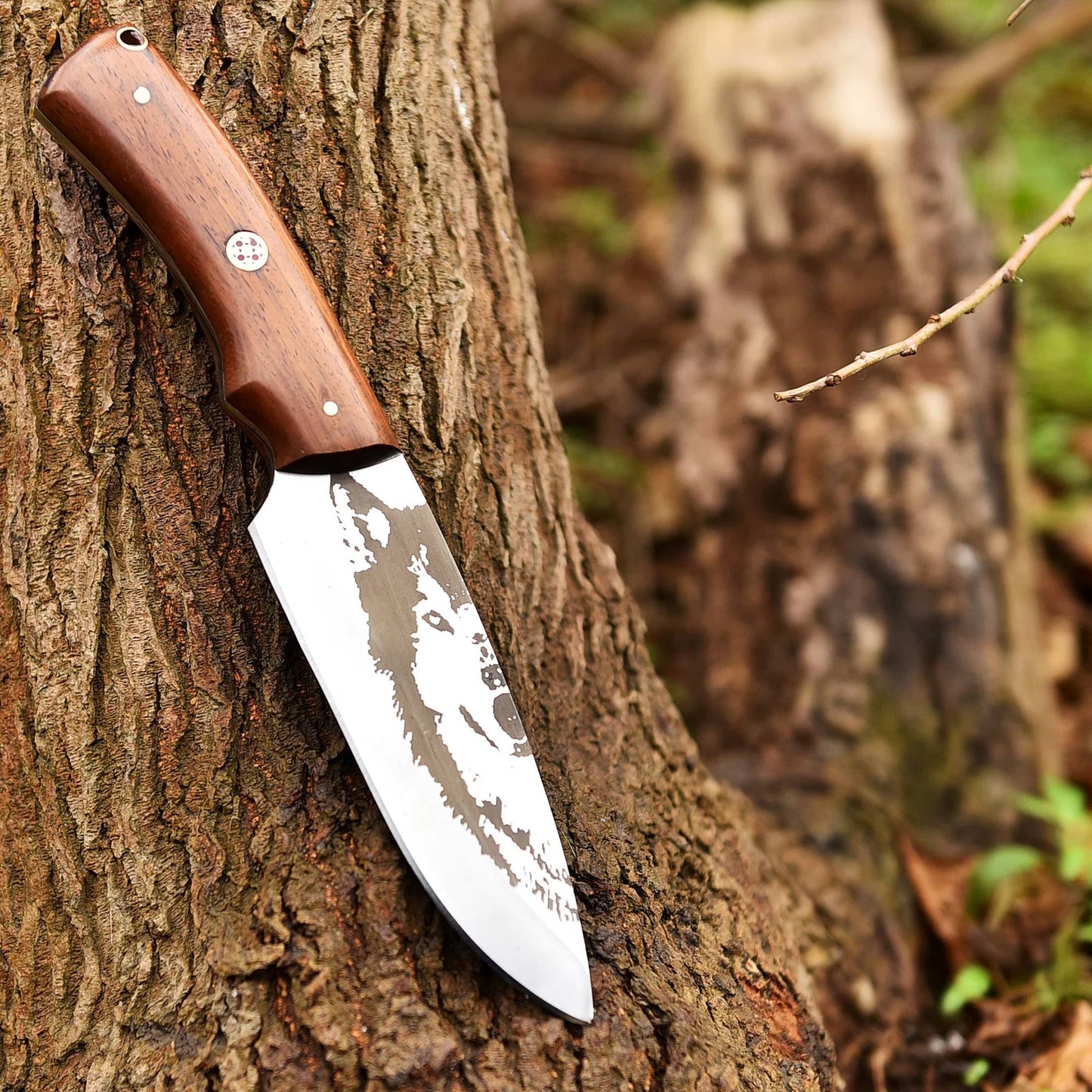 Full Tang Handmade Engraved Knife Hand Forged Personalized Hunting  Camping Knife With Leather Sheath Cover