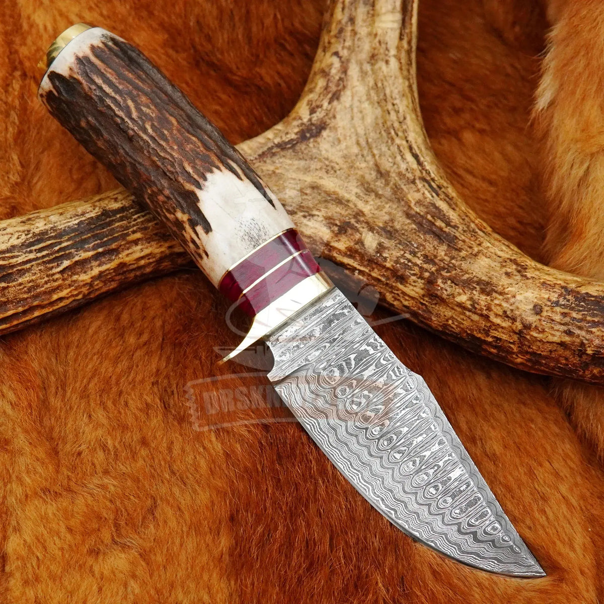 Stag_Handle_knife - DRSKNIVES HUB