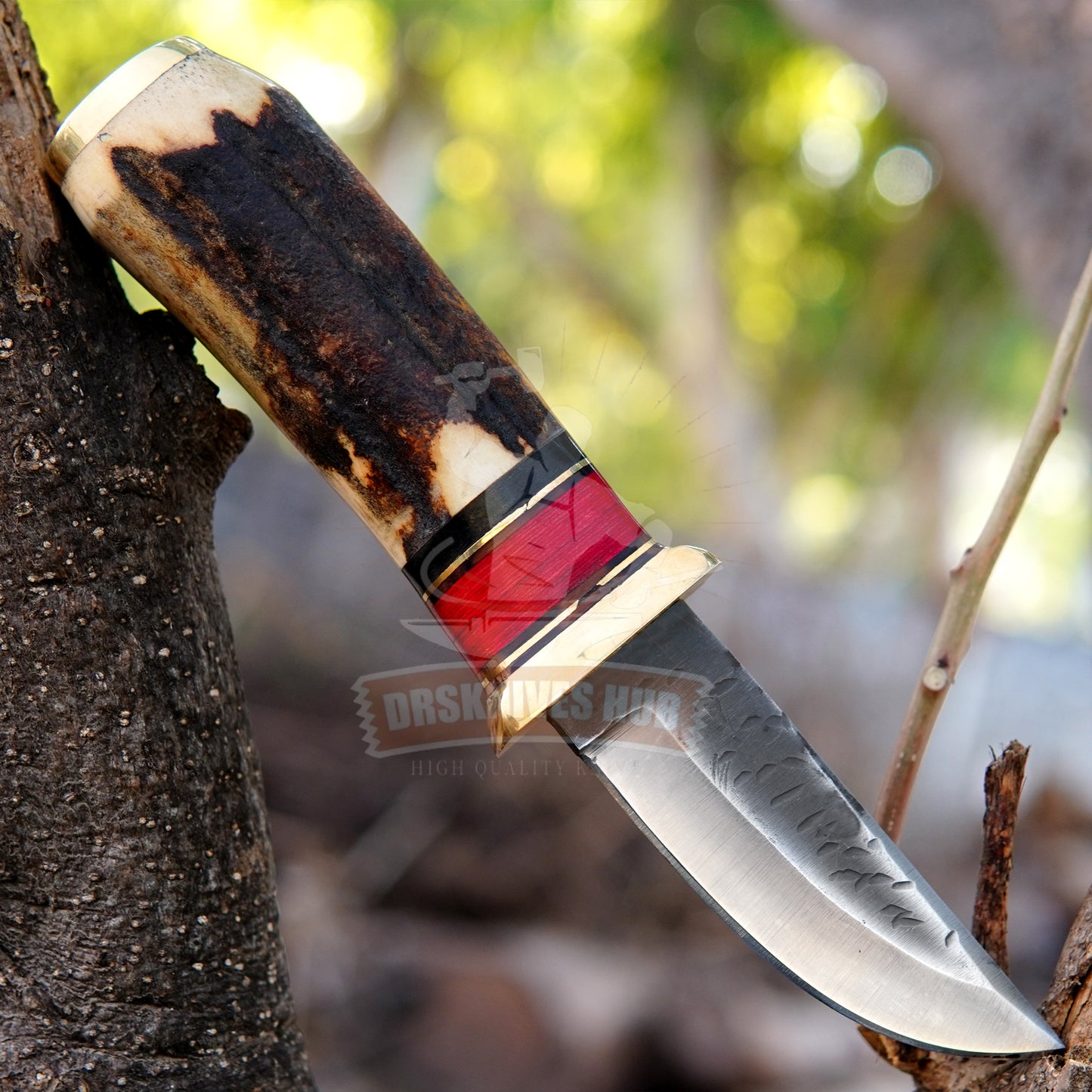 Hunting Knife 10" – Stag Handle Handcrafted Outdoor Knife | DRSKNIVES HUB