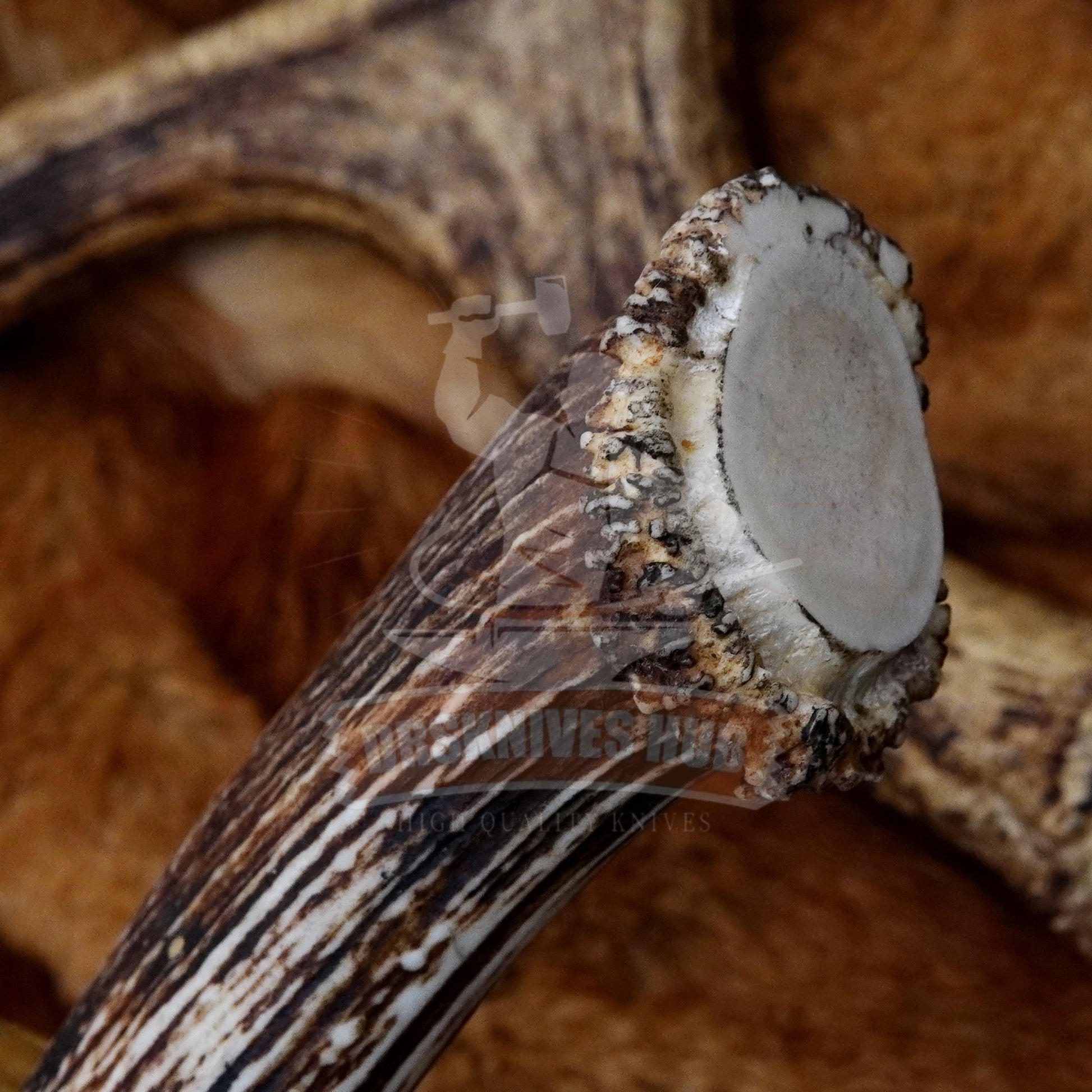 D2 Steel Handmade Mirro polished Hunting Bowie knife With Cover | DRSKNIVES HUB