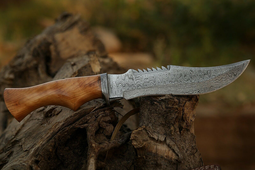 Handmade Hand Forged Olive Wood handle Bowie Knife,with sheath