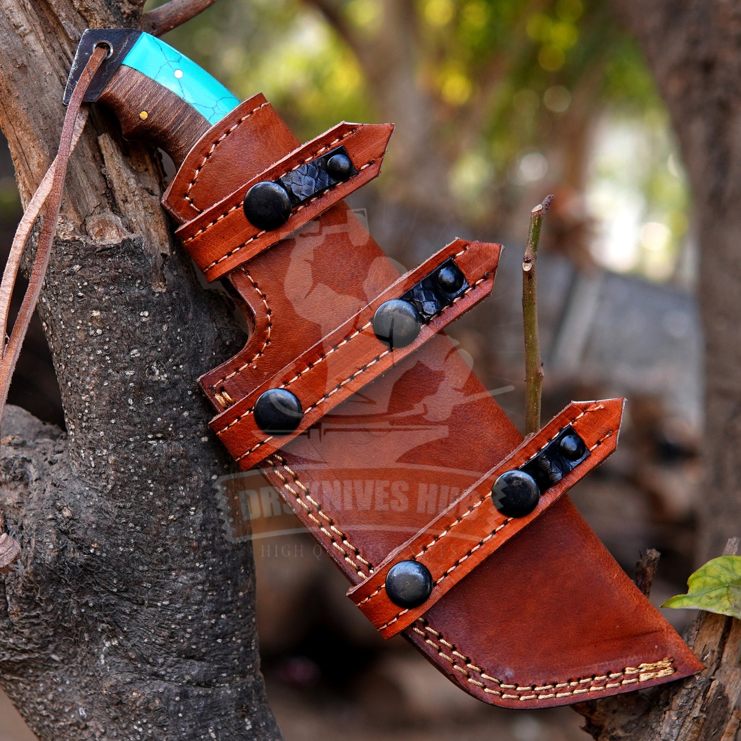 Brown leather knife sheath with black buttons attached to a tree branch.