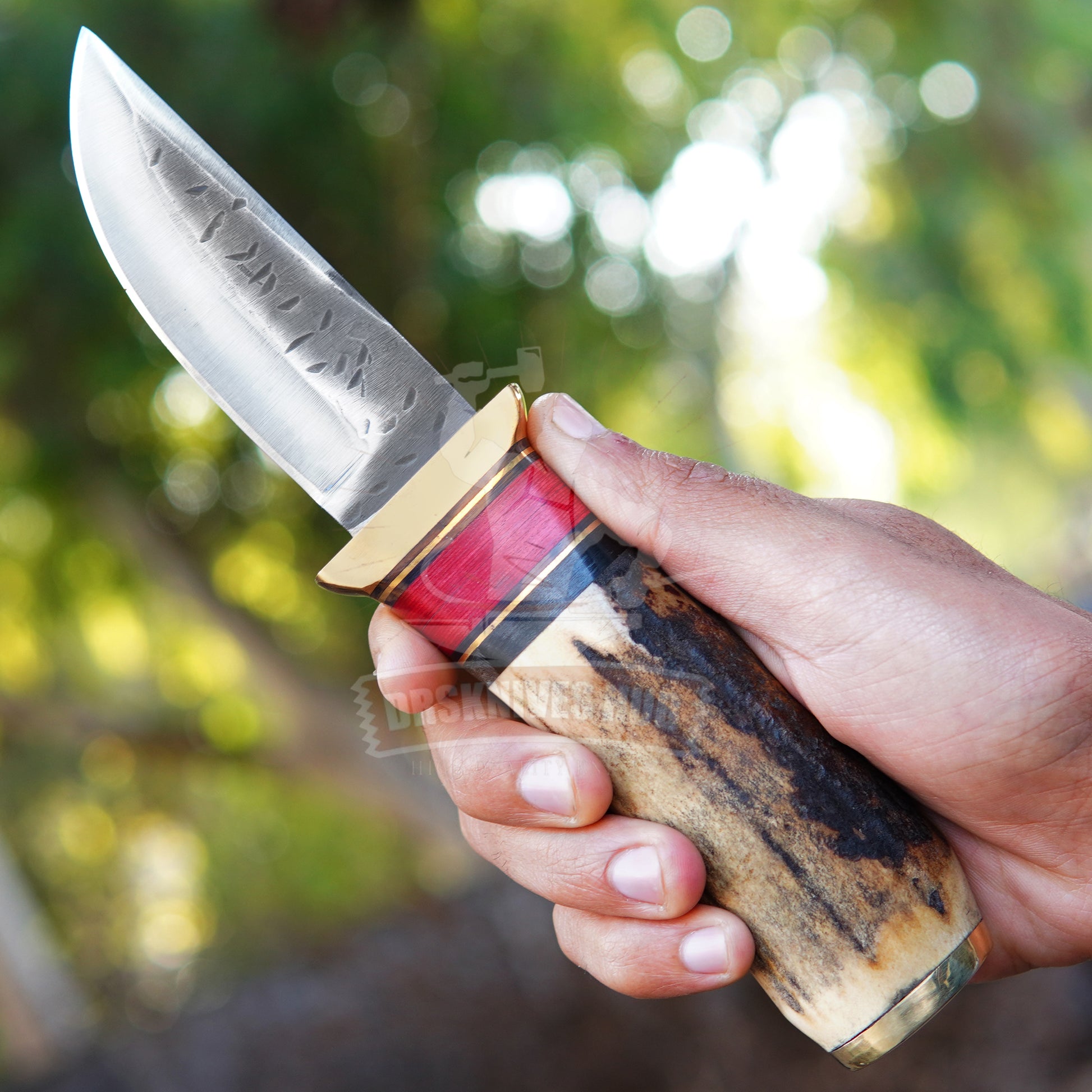 Hunting Knife 10" – Stag Handle Handcrafted Outdoor Knife | DRSKNIVES HUB