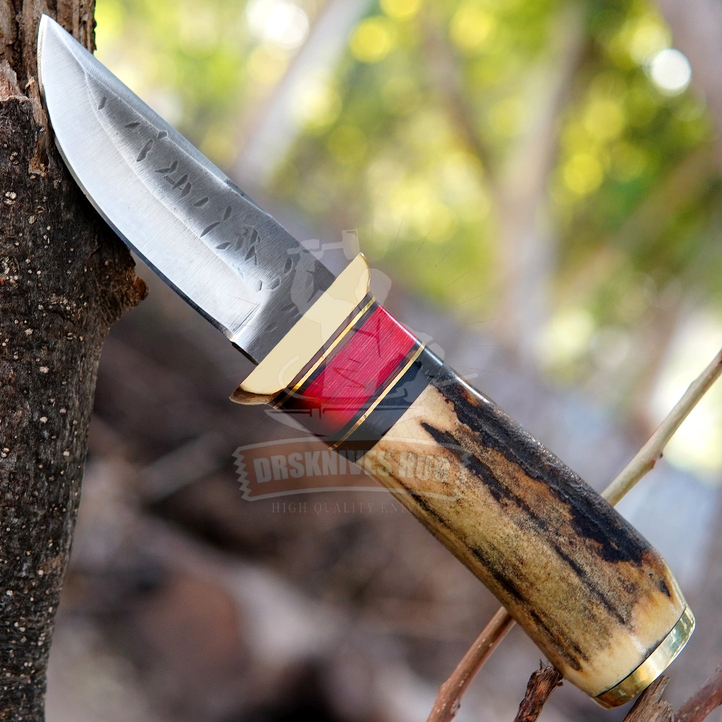 Hunting Knife 10" – Stag Handle Handcrafted Outdoor Knife | DRSKNIVES HUB