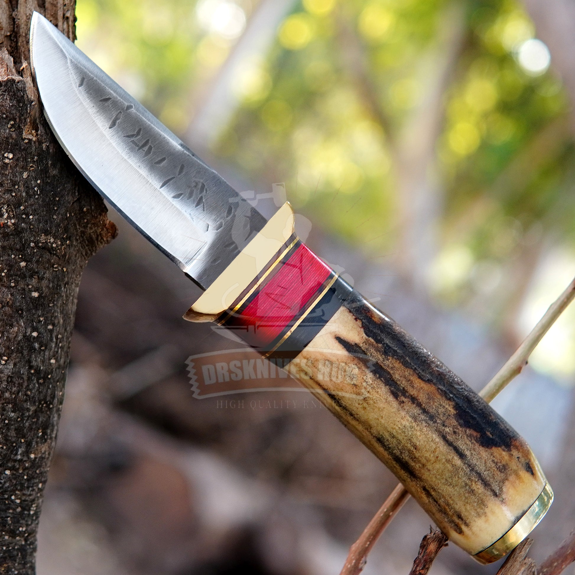 Hunting Knife 10" – Stag Handle Handcrafted Outdoor Knife | DRSKNIVES HUB