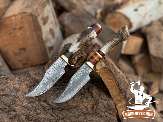 Handmade 10” Damascus Knife Set with Stag Handles & Leather Sheaths | DRSKNIVES HUB