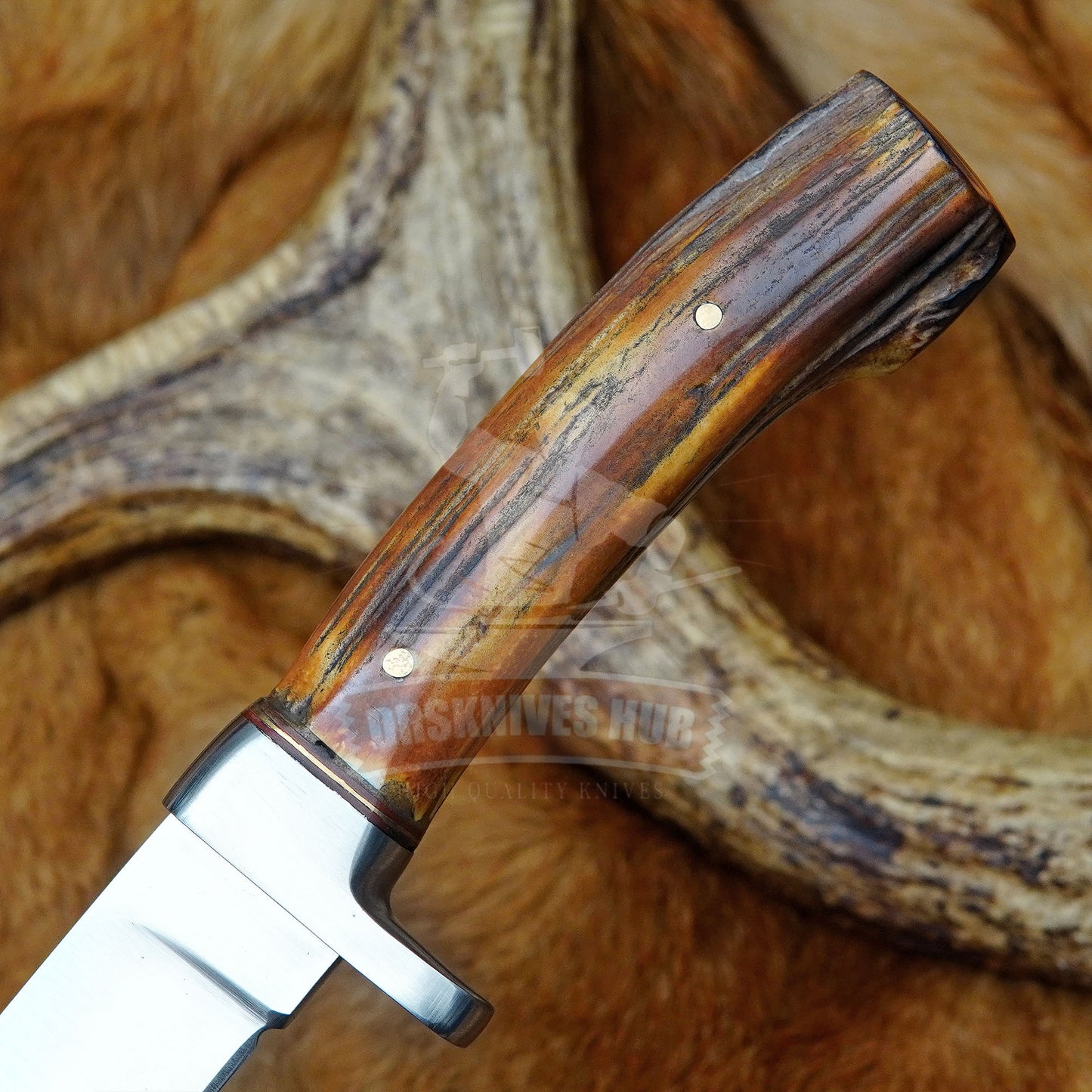 Handmade Stainless Steel Fixed Blade Knife with Stag Handle and Leather Sheath | DRSKNIVES HUB