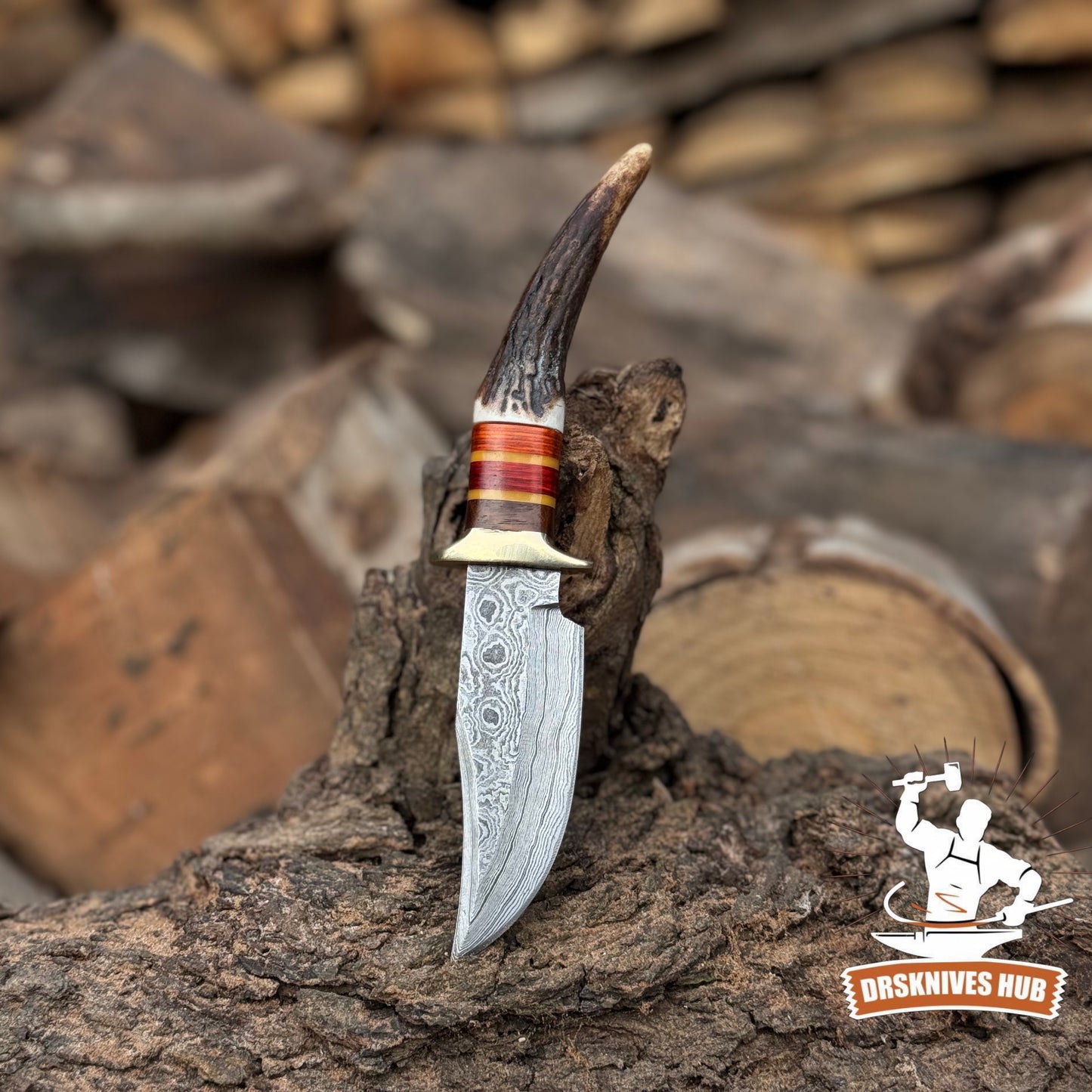 Hand-Forged Damascus Steel Knife Stag & Wood Handle  Leather Sheath Included | DRSKNIVES HUB