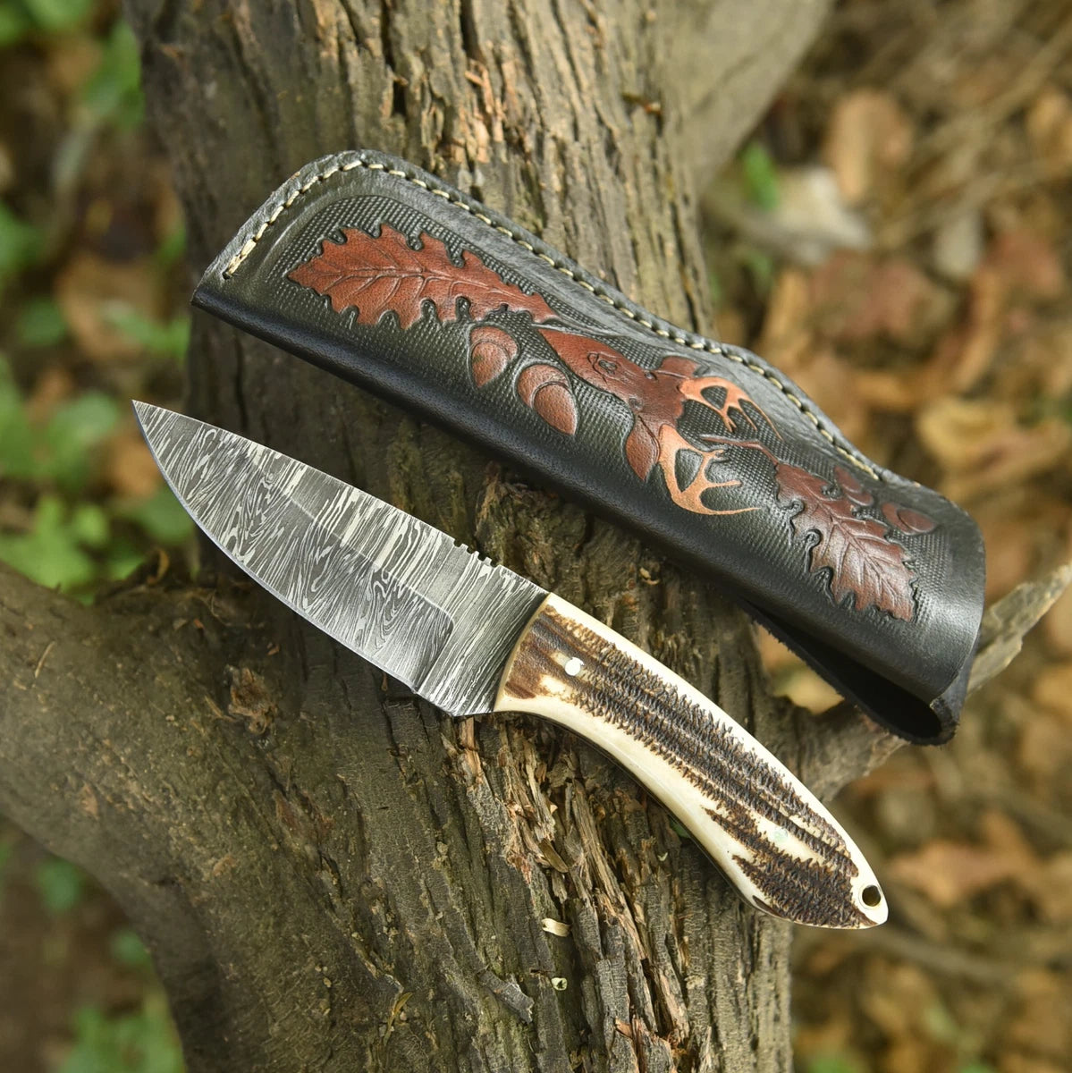Damascus Fixed Blade Camping Knife – Premium Steel with Leather Sheath