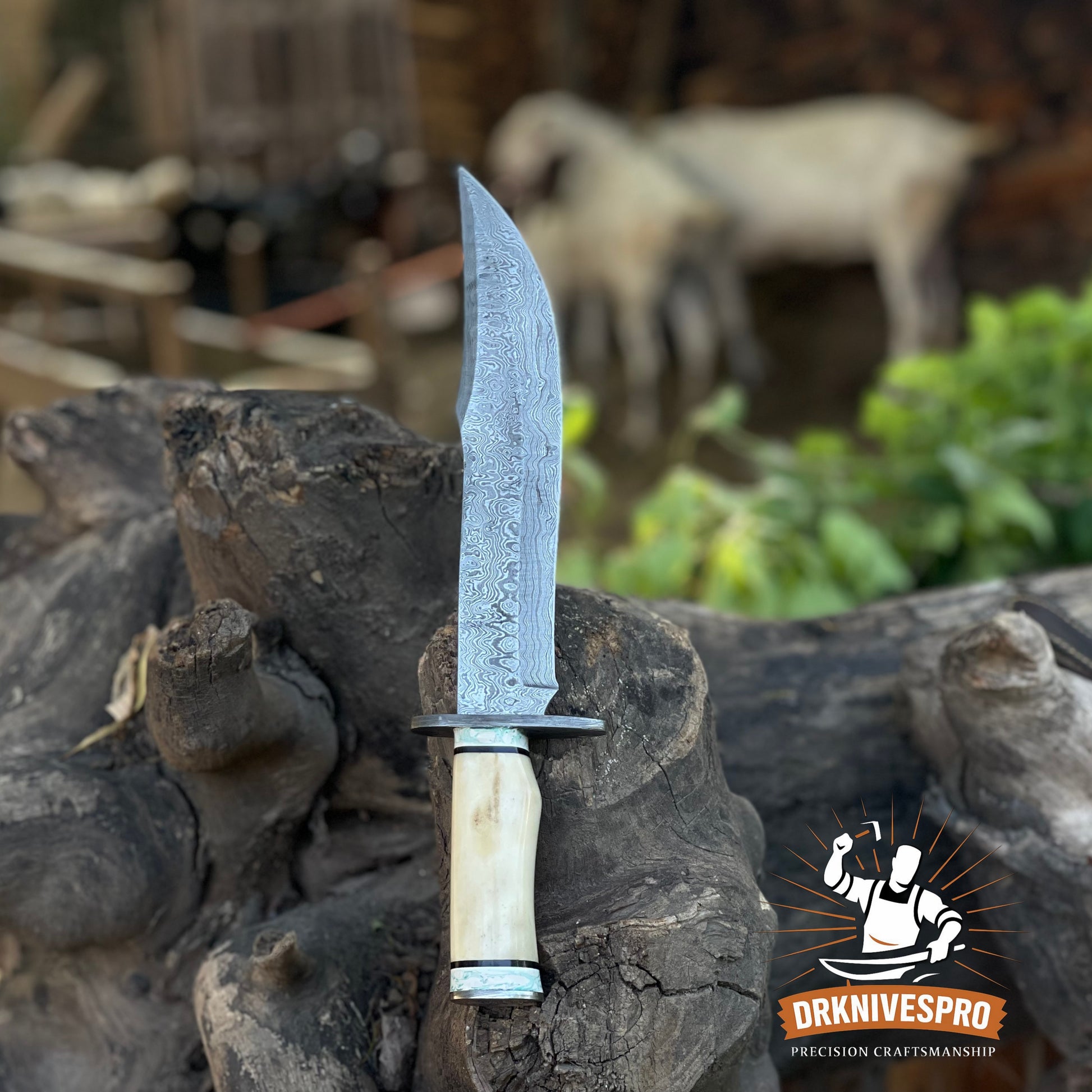 Damascus Steel Bowie Knife with Bone Handle - Handcrafted Edc knife | DRSKNIVES HUB