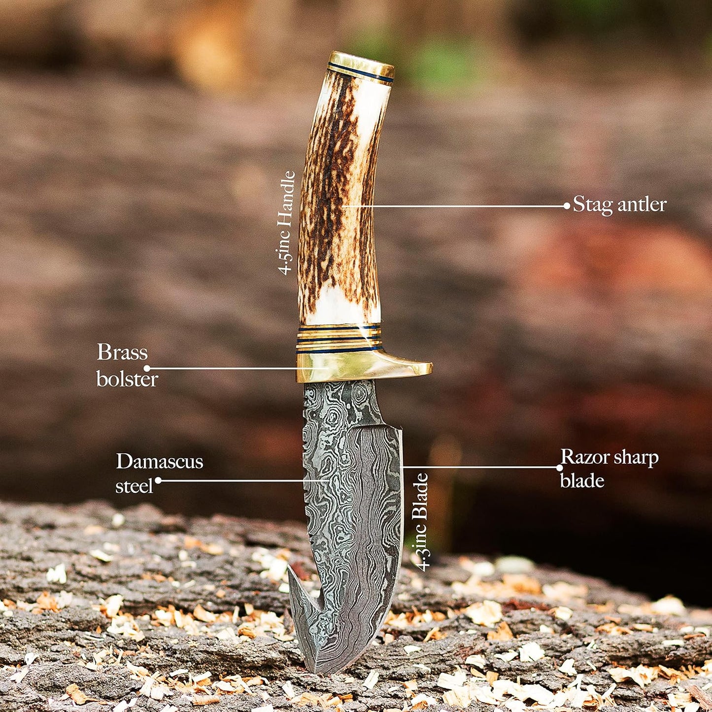 Beautiful Handmade Damascus Steel Blade Gut Hook Hunting Knife Antler Horn Handle