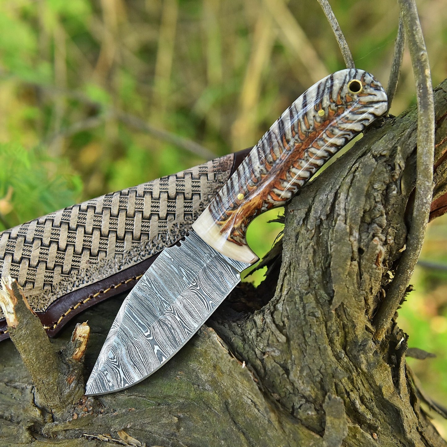 Custom Hand Forged Damascus Steel Fixed Blade Skinner Knife Pine Cone Handle With Leather Sheath Cover