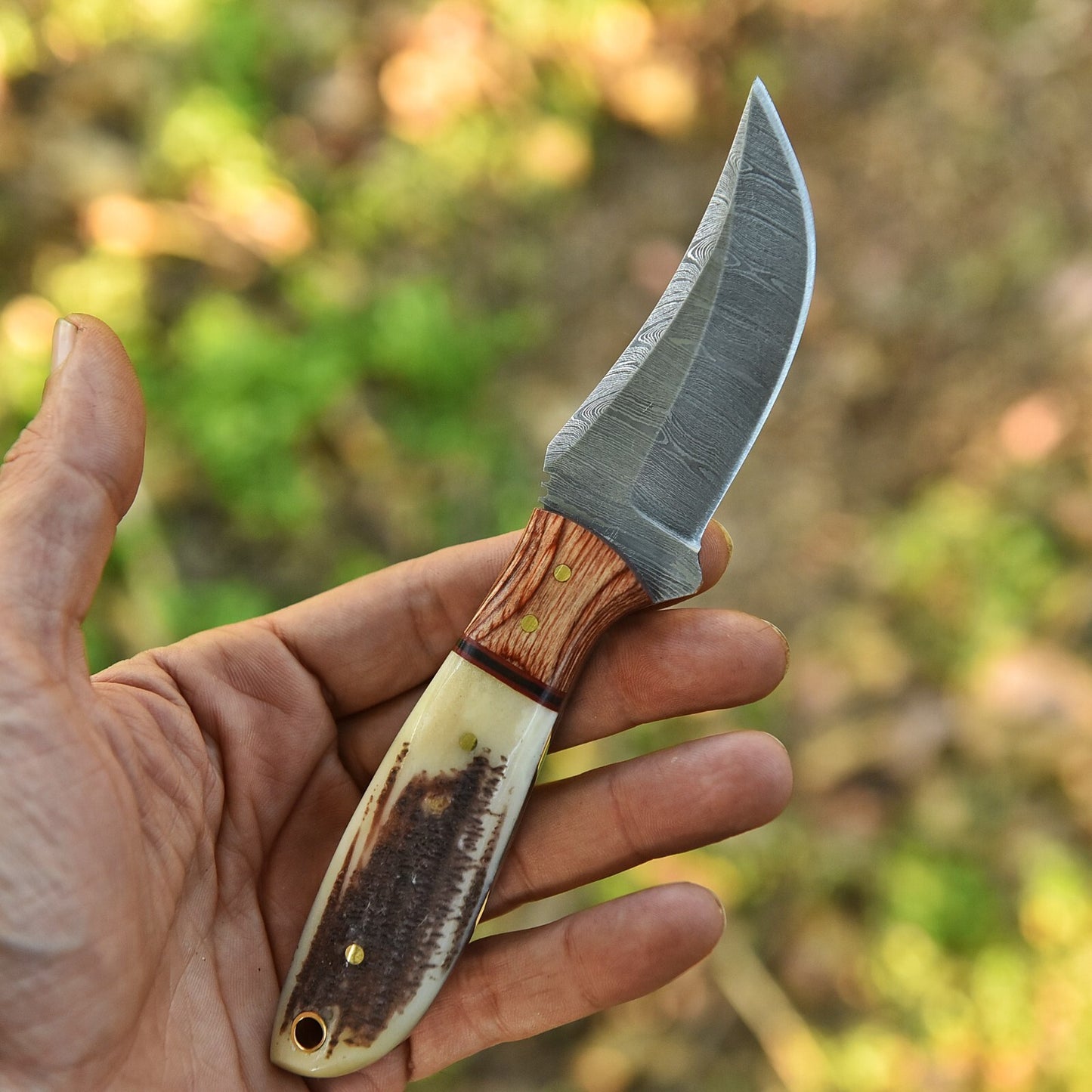 7.3" Custom Hand-Forged Damascus Steel Fixed Blade Skinner Knife with Antler Handle