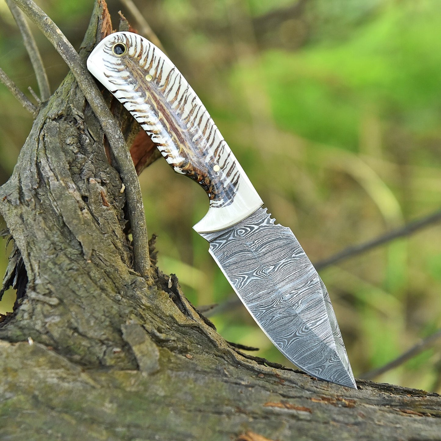 Custom Hand Forged Damascus Steel Fixed Blade Skinner Knife Pine Cone Handle With Leather Sheath Cover