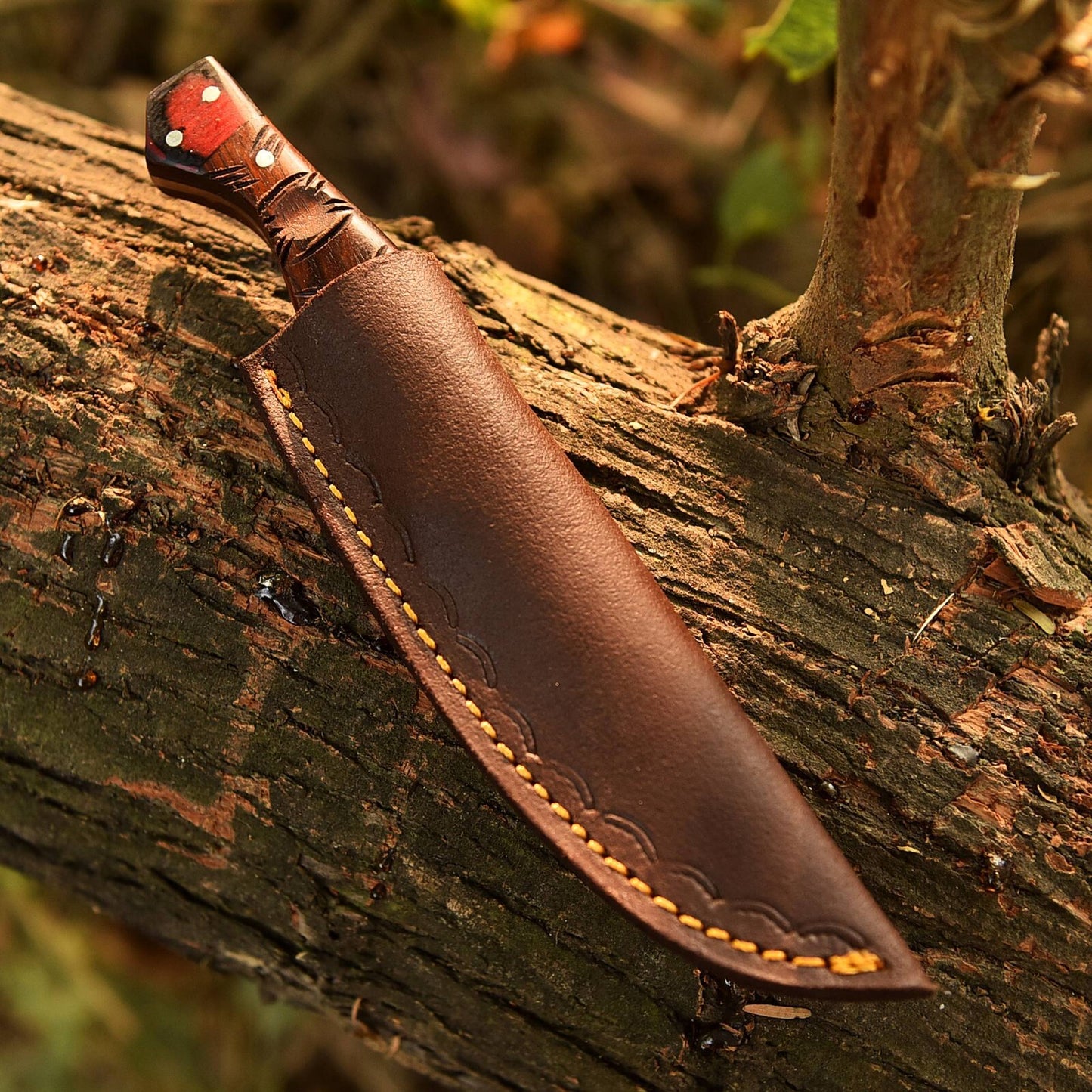 Damascus Tanto Bull Cutter 8" – Handmade Skinner Knife | DRSKNIVES HUB