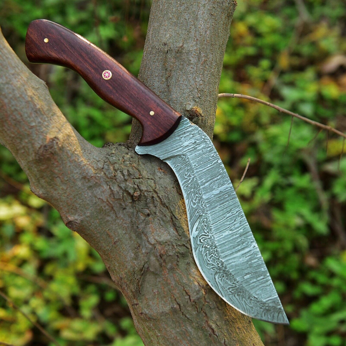 Damascus Steel Kukri Knife | EDC Knife | Rosewood Handle | | DRSKNIVES HUB