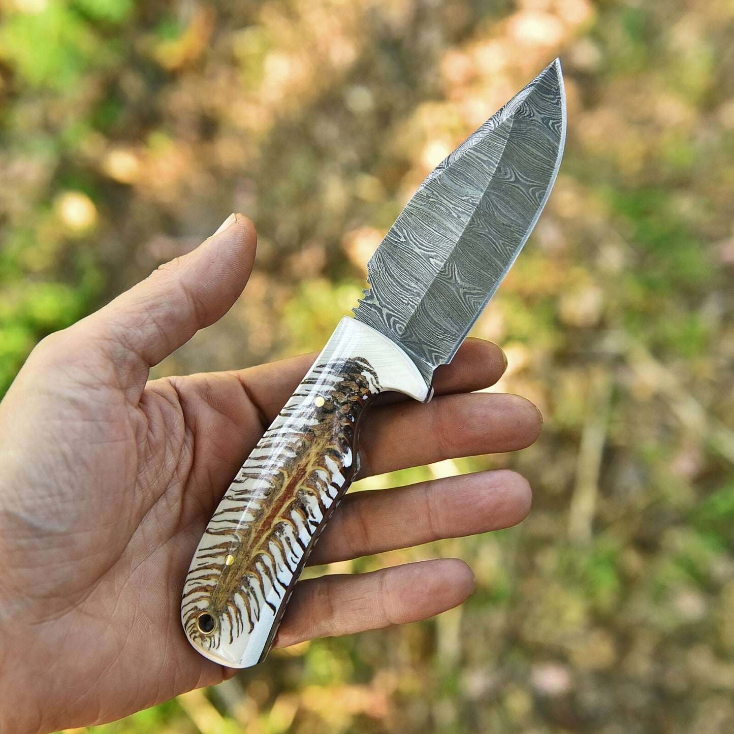 Custom Hand Forged Damascus Steel Fixed Blade Skinner Knife Pine Cone Handle With Leather Sheath Cover